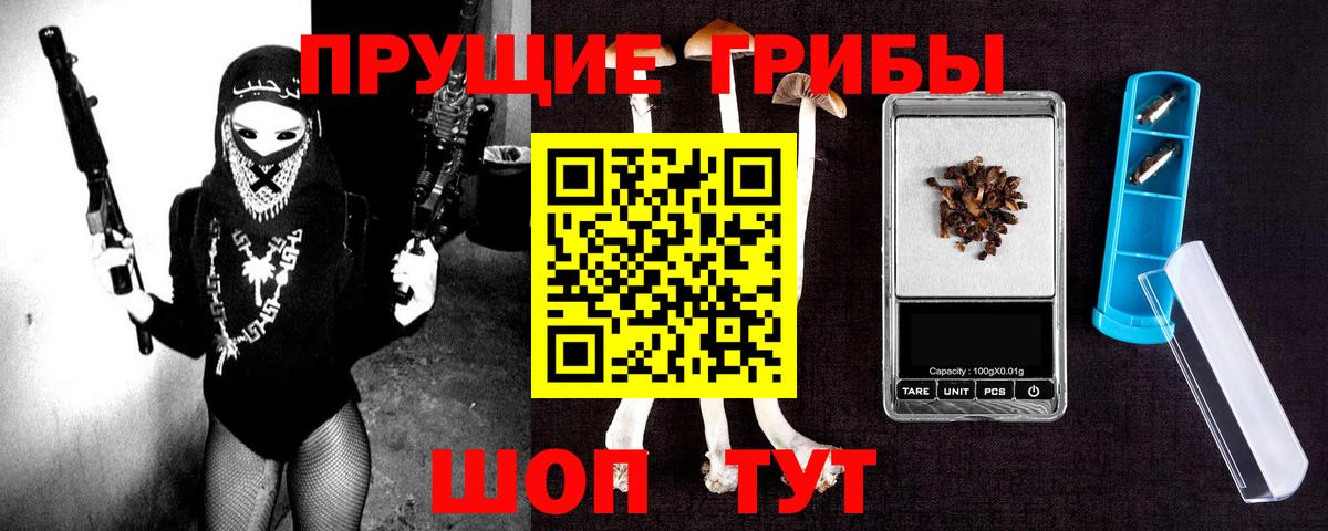 Кизляр  Псилоцибиновые грибы Cubensis  Галлюциногенные грибы Psilocybe  Вход с VPN 